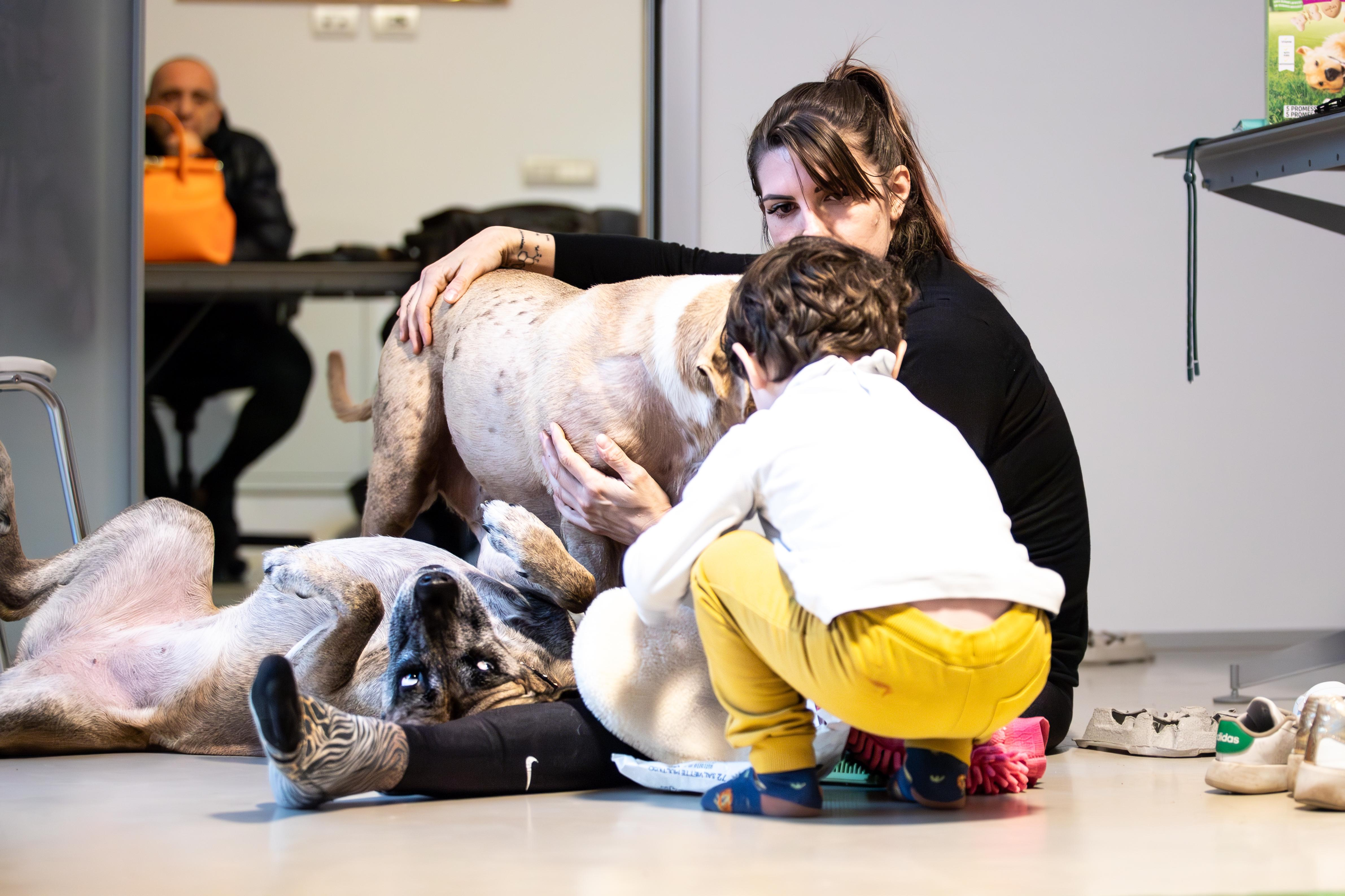 I.A.A. Interventi Assistiti con gli Animali-Pet Therapy